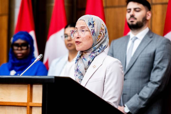 Report on anti-Palestinian, anti-Arab racism will inform recommendations to government, special representative says