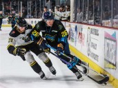 Productive defenseman McCourt returns to Walleye