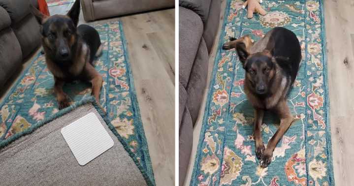Your Daily Annoyances Are No Match For These 20 Clever Finds Under $20