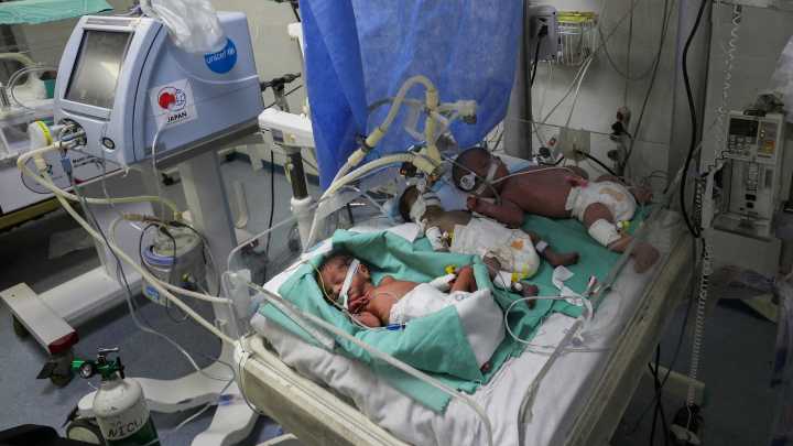 Newborns share incubator at Gaza hospital overwhelmed by famine