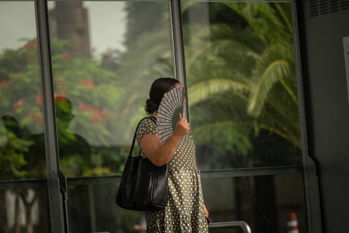 La ola de calor seguirá afectando a Canarias: el bochorno continuará hasta el fin de semana