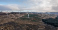 Perthshire forestry estate acquired for £145 million