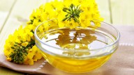 Help Patients Navigate Viral Seed Oil Claims