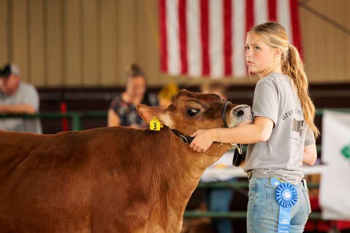 Pie contest, karaoke and animal auction: Thursday activities at the Jackson County Fair