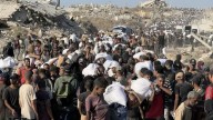 Declaran oficialmente la situación de hambruna en Gaza: ¿qué factores confirmaron la catástrofe anunciada?