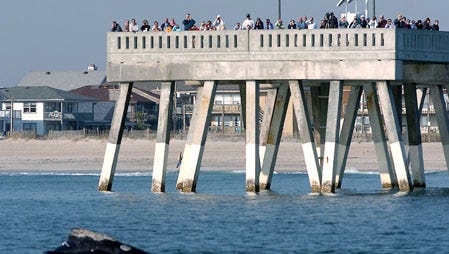 Marine mammals in NC waters could see federal…