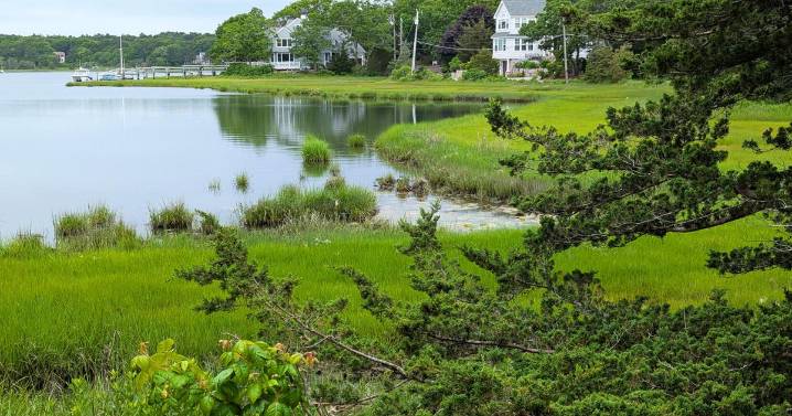 Waterways Articles Withdrawn From Town Warrant