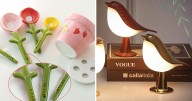 100 Cool Gifts Under $25 On Amazon For When You Don't Know What To Give
