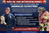Rescatan bomberos a más de 400 animales silvestres