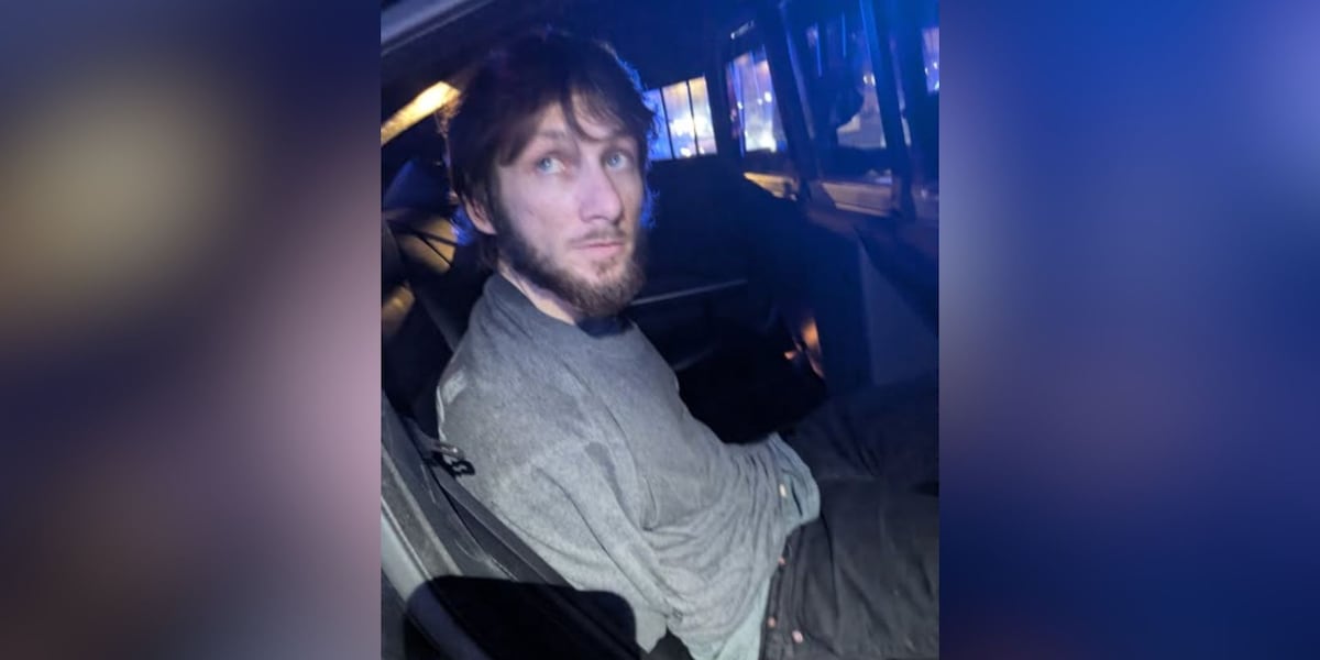 Deputies: Search for GA burglary suspect uncovers ‘nest of wanted fugitives’