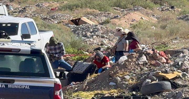 Dejan cadáver de hombre en lote baldío de Villas de Alcalá