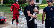 Flooding cancels Wisconsin State Fair's last day as water rescues continue in Milwaukee