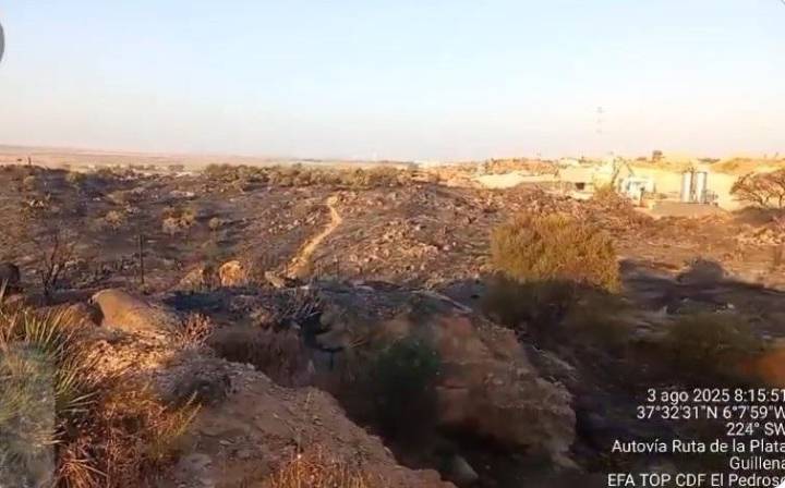 Extinguido el incendio forestal declarado el pasado sábado en Gerena