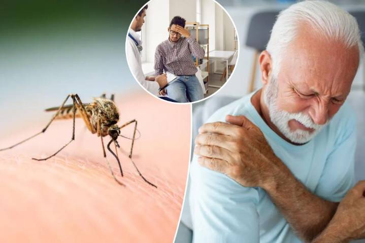 What is chikungunya virus? US travelers warned amid China outbreak