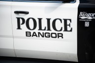 Maine man accused of punching dog says it attacked his service dog