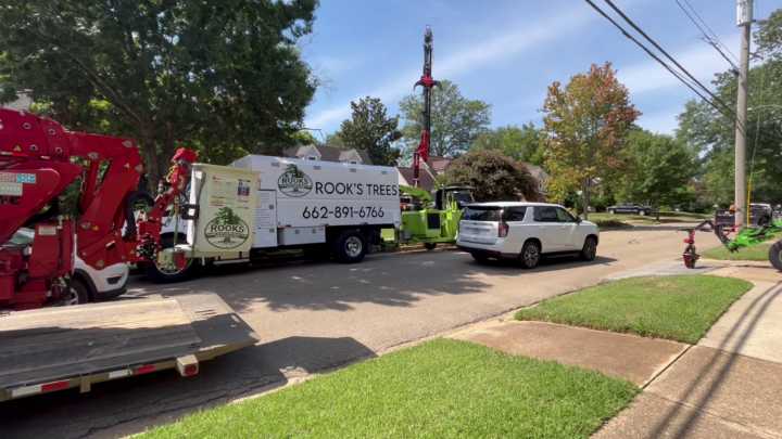 Tree service crew provides CPR to man suffering medical emergency