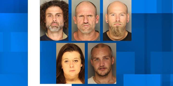 Colleton County deputies charge 5 in string of storage business burglaries