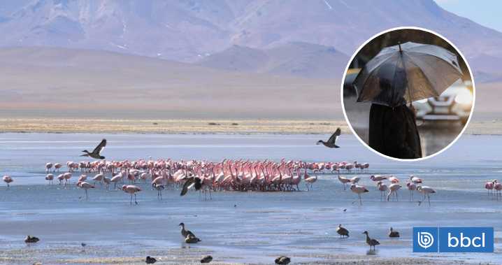 Conaf cierra temporalmente 7 parques y reservas nacionales en zona norte y centro por sistema frontal