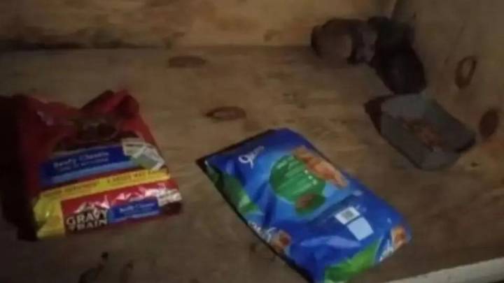 Georgia Volunteers Were Devastated After Finding Something Furry In Shelter's Donation Box