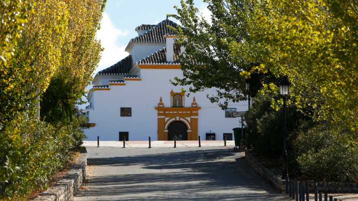 Tradición, música y actividades para todas las edades en las Fiestas Patronales de Dílar