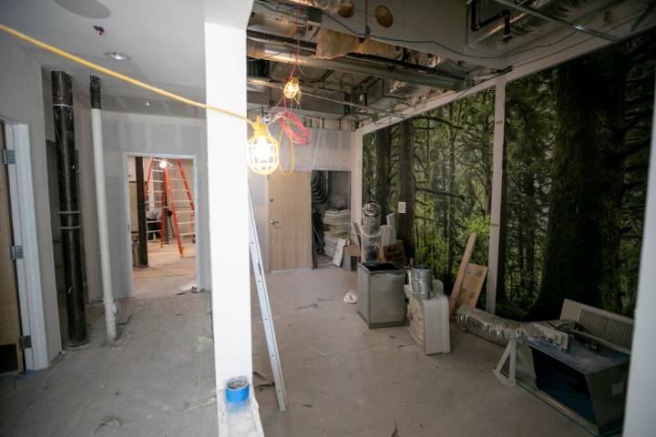 An immersive theater is coming to Blake Street, and the city says it’s the world’s first