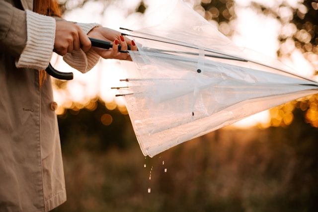 ROMANCE: A week of monsoon-style rains in Portage