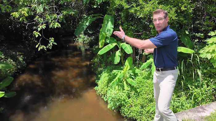 Winter Springs critical city-wide creek cleanout complete