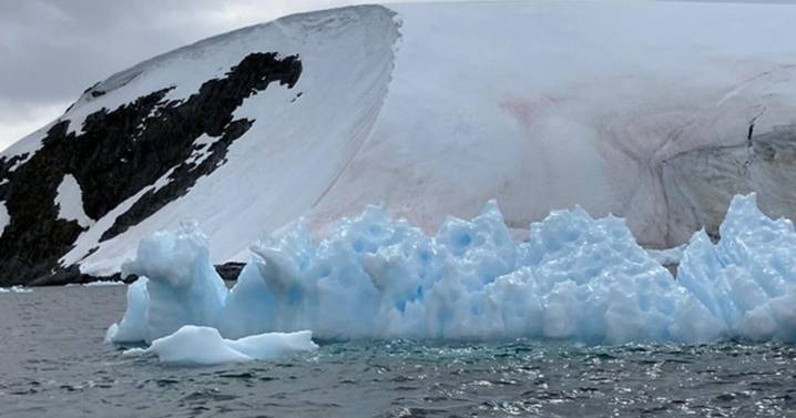 Northern Arizona University researcher awarded NSF grant for citizen science project studying change in Antarctic environments