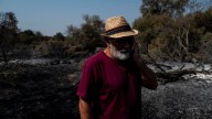 "Esta herida ya es para toda la vida": el incendio que dice adiós al paraíso verde de Jarilla