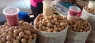 Amecameca celebra la 40 Feria de la Nuez de Castilla
