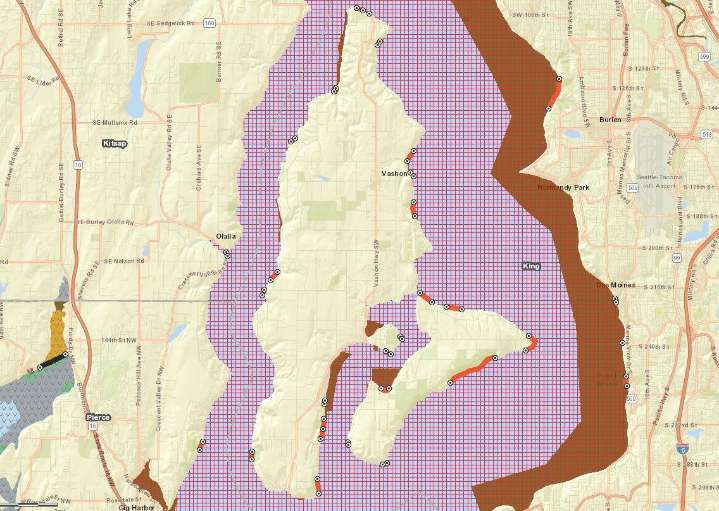 Shellfishing closure extended to all of Vashon beaches