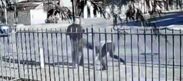 Detienen a policías implicados en brutal ataque a periodista