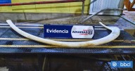 Aduanas decomisa costilla de ballena de dos metros que sujeto quiso ingresar al país desde Argentina
