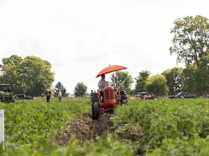 More competitors hoped for at this year's Lambton plowing match