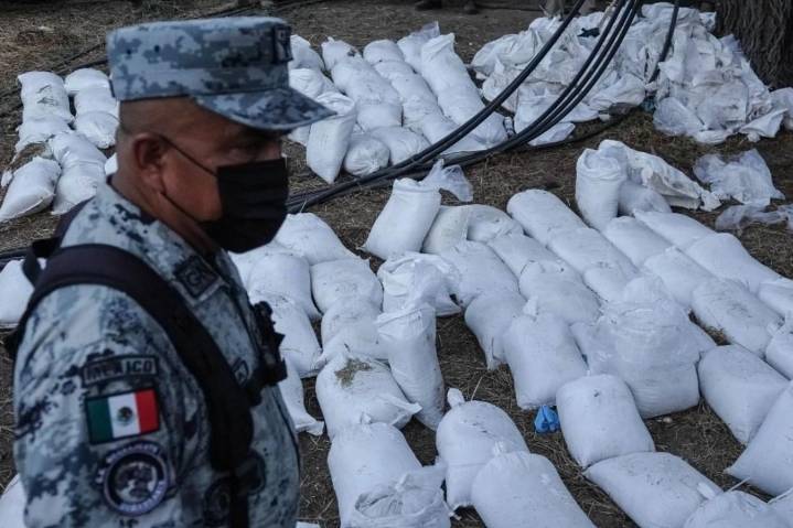 Suman más de 62 toneladas de droga aseguradas por Operación Frontera