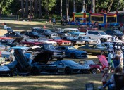 Try This: Cruise-in at Alderbrook Park, Treat Day, ‘Batty for Bats’