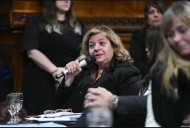 Tessie González alertó en el Senado el deterioro crítico de las rutas debido al abandono de Nación