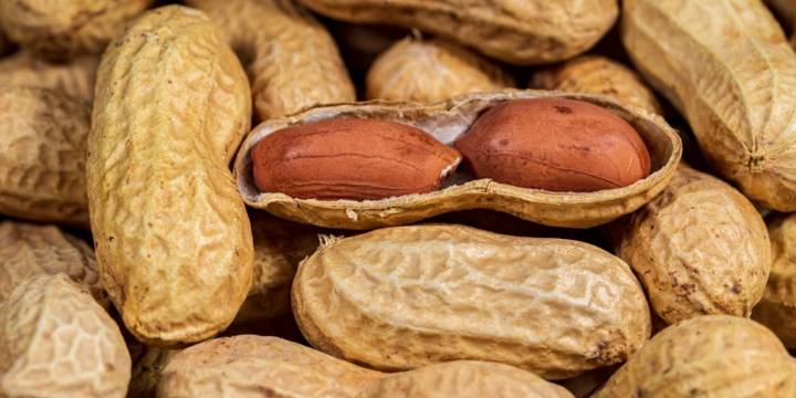 Argentina, líder en el mercado mundial de maní