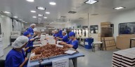 Exclusivo: las conclusiones de los primeros peritajes del Cuerpo Médico Forense por el fentanilo contaminado