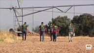 Desarticulado un grupo que se dedicaba al robo de motores de riego en explotaciones agrarias