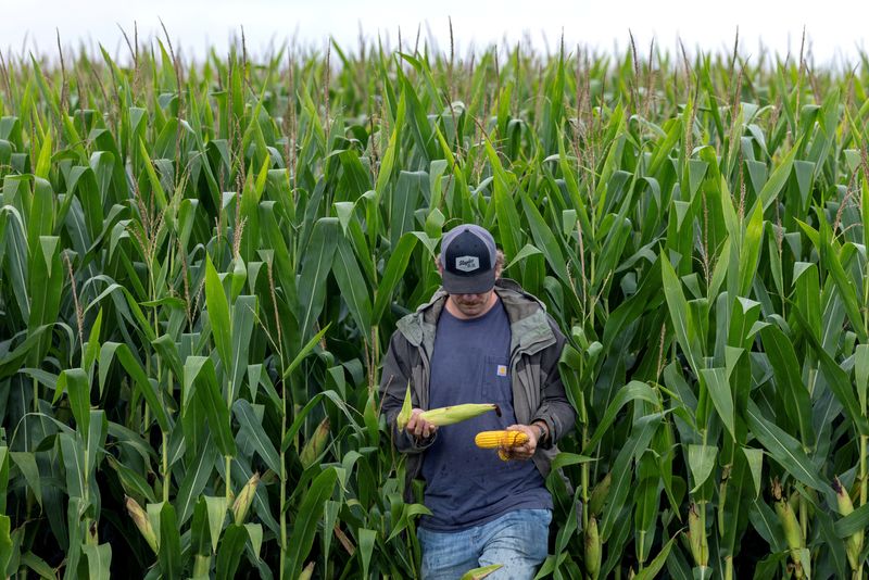 Analysis-Asia's pledge to boost US farm imports may redraw trade flows