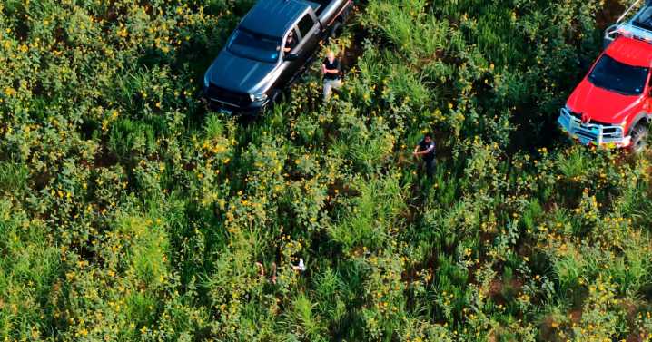 Burglary suspect arrested in a field by Hillsboro Outlets