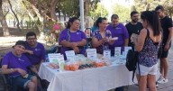 And-Arte: San Juan se prepara para la feria inclusiva más grande de la provincia