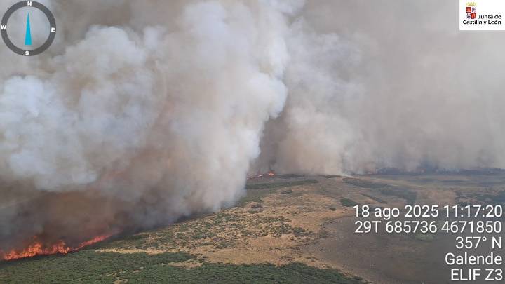 Bomberos de Alicante se suman a la ayuda desde la Comunitat en los incendios en Castilla y León