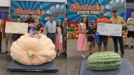 Kentucky State Fair crowns winners of largest pumpkin, watermelon contest