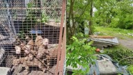 Indiana Resident Was Devastated When He Found Starving Puppies Left On Pile Of Mattresses