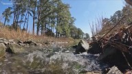 Chesapeake Bay restoration efforts seek public feedback