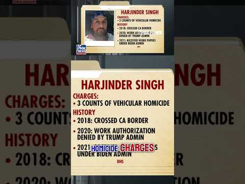 Illegal immigrant truck driver denied bond #shorts