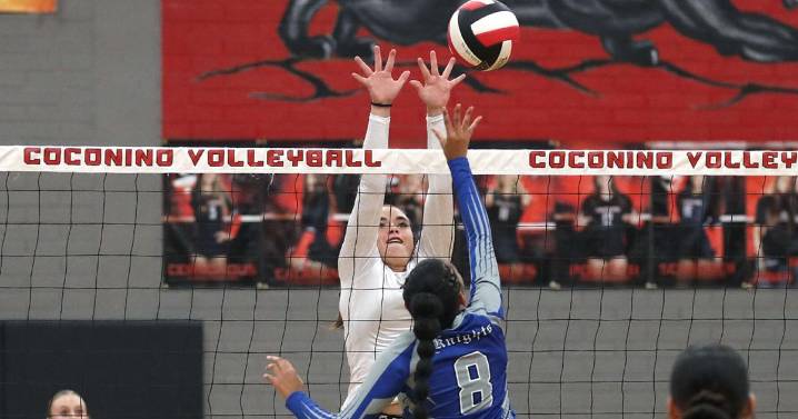 Coconino volleyball seeks another step forward this year under junior