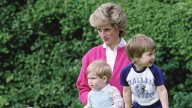 The Tragic Reason Princess Diana Would Have Never Seen William & Harry's Estrangement Coming